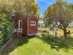 Tiny House auf der Alpaka Farm